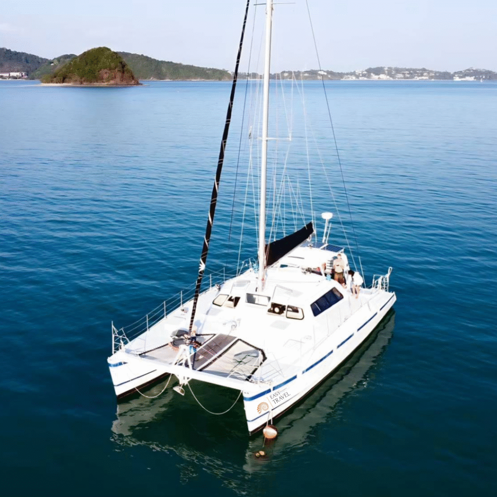 Bohemian Catamaran - Image 2